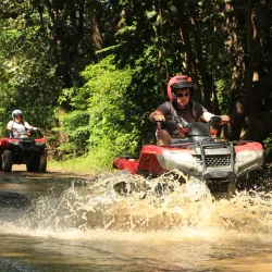 Coco Safari Adventure and Wildlife Tour - Tamarindo