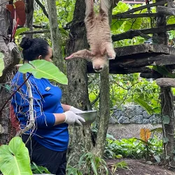 Coco Safari Adventure and Wildlife Tour - Tamarindo