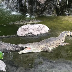 Coco Safari Adventure and Wildlife Tour - Tamarindo