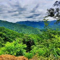 Diria National Park - Tamarindo