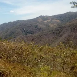Diria National Park - Tamarindo
