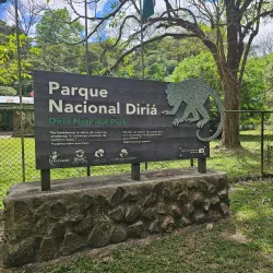Diria National Park - Tamarindo