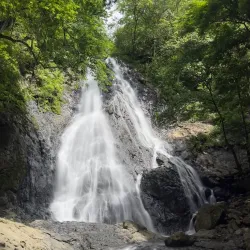 Diria National Park - Tamarindo