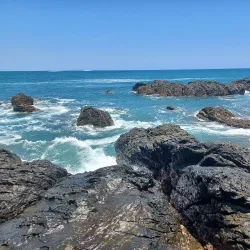 Las Baulas National Marine Park - Tamarindo