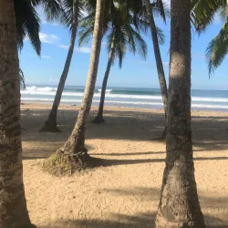 Las Baulas National Marine Park - Tamarindo