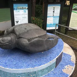 Las Baulas National Marine Park - Tamarindo