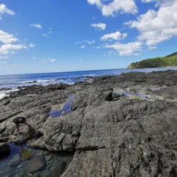 Las Baulas National Marine Park - Tamarindo