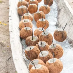 Pangas Beach Club - Tamarindo