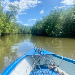 Tamarindo Estuary (Las Baulas Wildlife Refuge) - Tamarindo