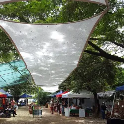 Tamarindo Farmers Market - Tamarindo