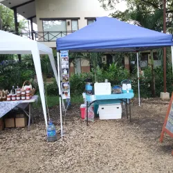 Tamarindo Farmers Market - Tamarindo