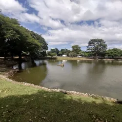 Parque de la Paz - Tibas