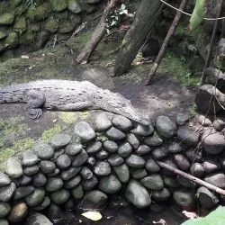 Arenal Eco Zoo - Tilaran