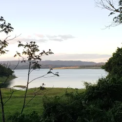 Arenal Eco Zoo - Tilaran