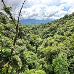 Arenal Hanging Bridges - Tilaran