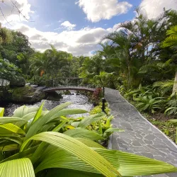 Hot Springs near Lake Arenal - Tilaran