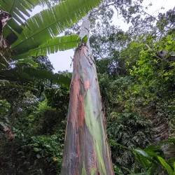 Cachi Waterfalls - Turrialba