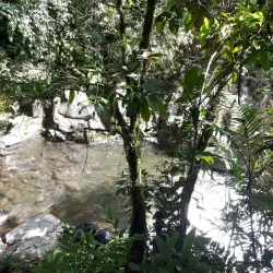 Cachi Waterfalls - Turrialba