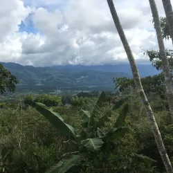 Finca La Flor de Loto (Coffee Plantation) - Turrialba