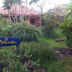 Finca La Flor de Loto (Coffee Plantation) - Turrialba