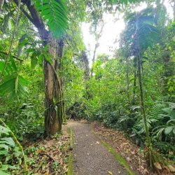 Guayabo National Monument - Turrialba