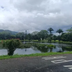 Turrialba Botanical Gardens - Turrialba