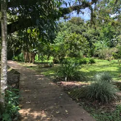 Turrialba Botanical Gardens - Turrialba