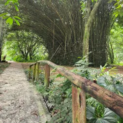 Turrialba Botanical Gardens - Turrialba