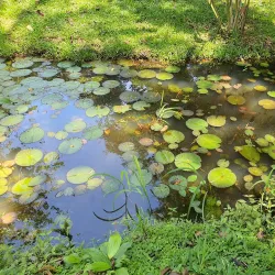 Turrialba Botanical Gardens - Turrialba