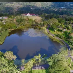 Turrialba Botanical Gardens - Turrialba