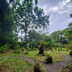 Turrialba Botanical Gardens - Turrialba