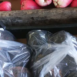 Turrialba Central Market - Turrialba