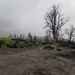 Turrialba Volcano National Park - Turrialba