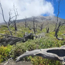 Turrialba Volcano National Park - Turrialba