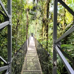 Arenal Hanging Bridges - Upala