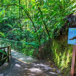 Arenal Hanging Bridges - Upala
