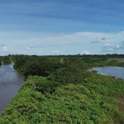 Caño Negro Wildlife Refuge - Upala