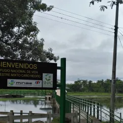 Caño Negro Wildlife Refuge - Upala