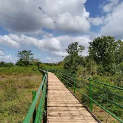 Caño Negro Wildlife Refuge - Upala