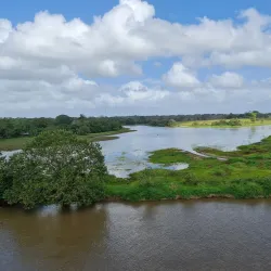 Caño Negro Wildlife Refuge - Upala