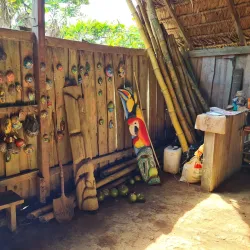 Guatuso Indigenous Community - Upala