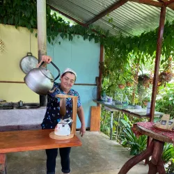 Local Coffee Plantations - Upala