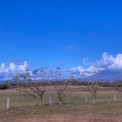 Miravalles Volcano - Upala