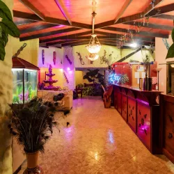 San Carlos River - Upala