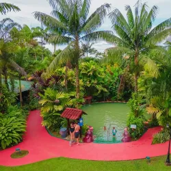 San Carlos River - Upala