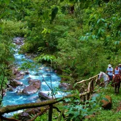San Carlos River - Upala
