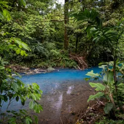 Tenorio Volcano National Park - Upala