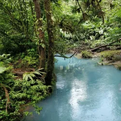 Tenorio Volcano National Park - Upala