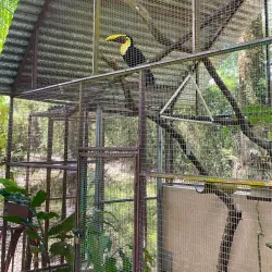 Alturas Wildlife Sanctuary - Uvita