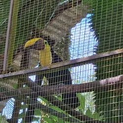 Alturas Wildlife Sanctuary - Uvita